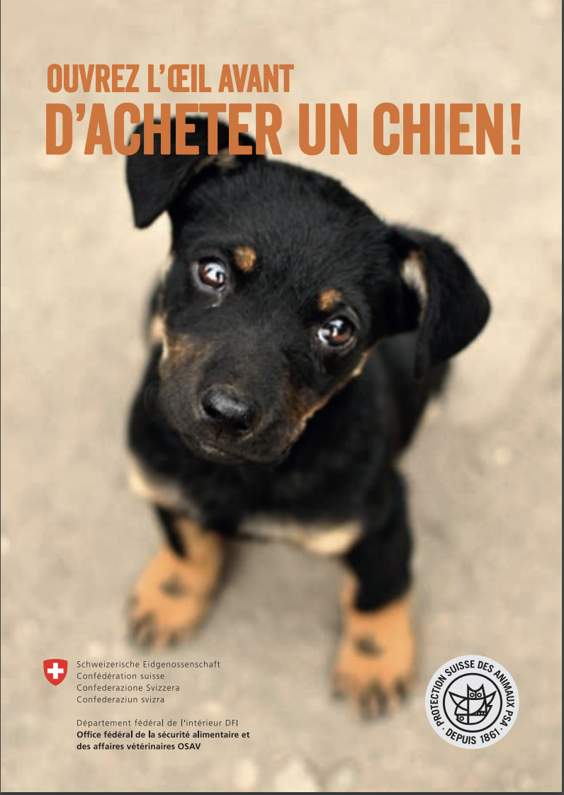 Informations importantes j'achète un chien