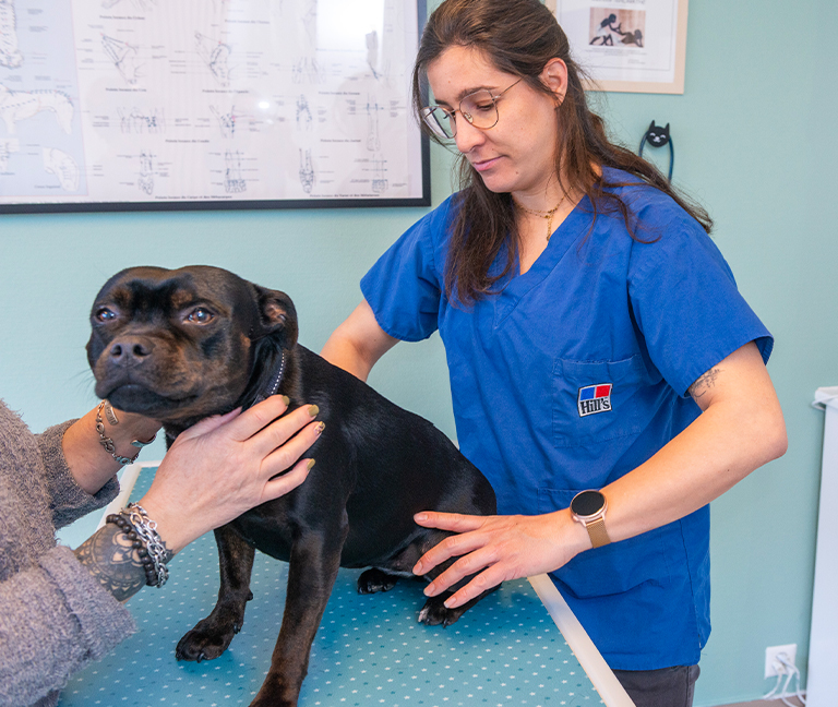 Consultation d’orthopédie