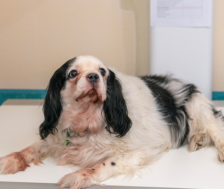 Hospitalisation & soins