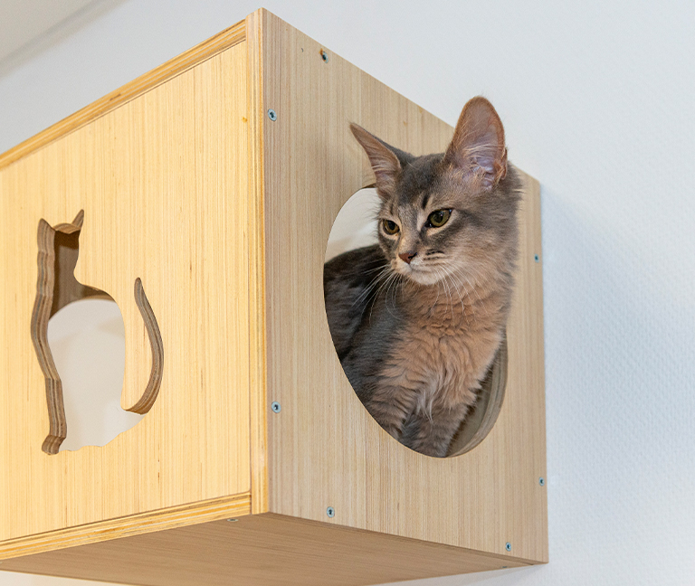 Médecines complémentaires