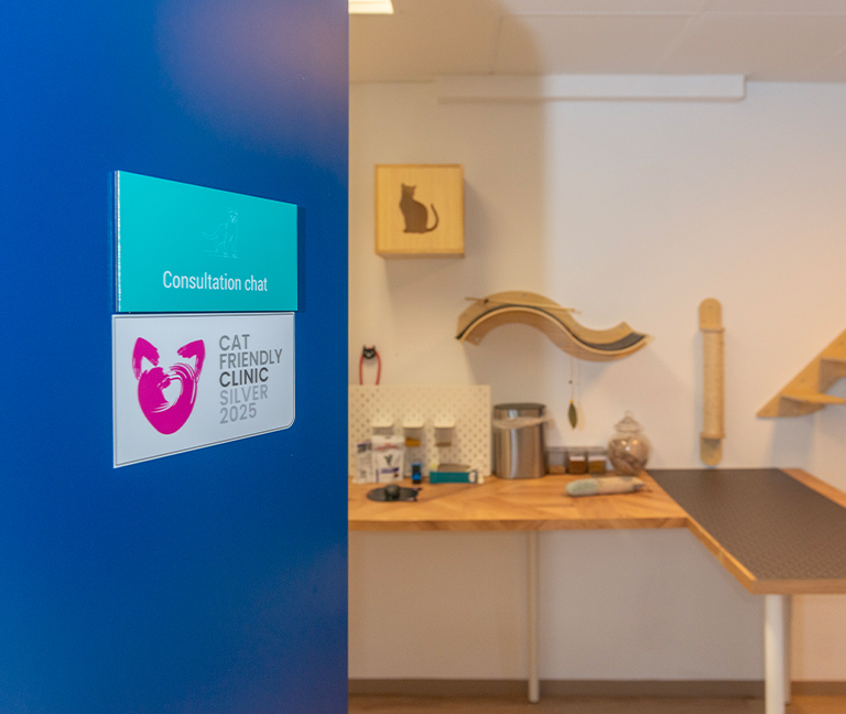 Nos am&eacute;nagements pour chats