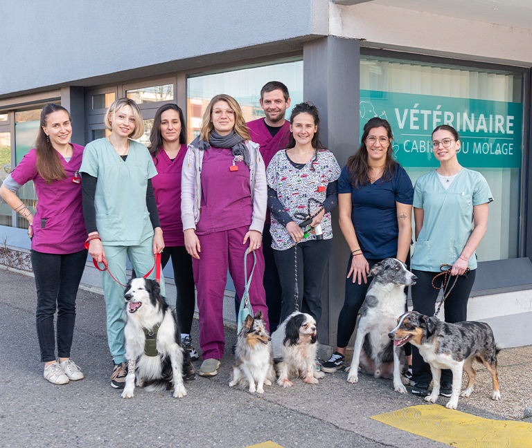 Profils recherch&eacute;s