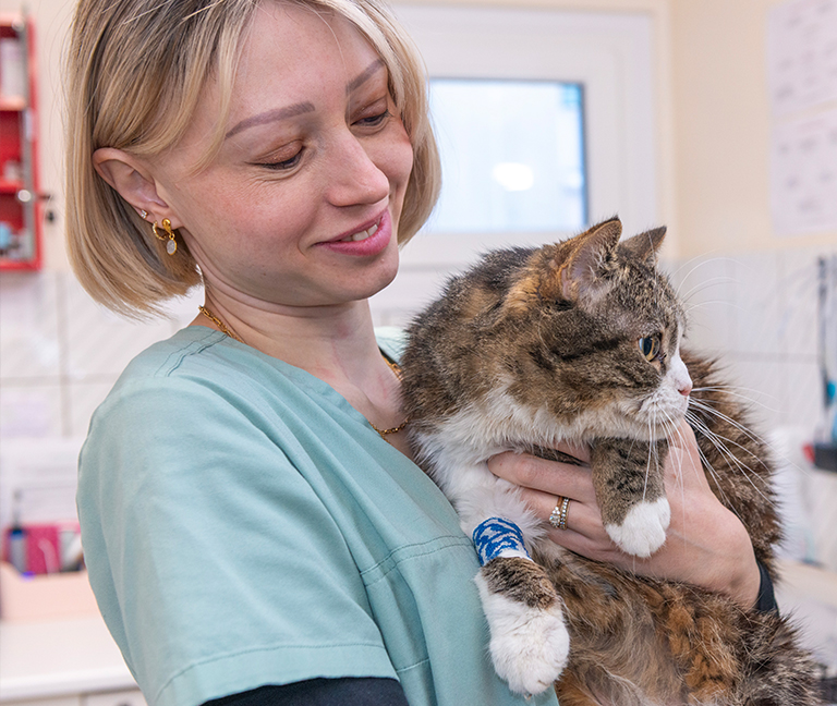 Une m&eacute;decine v&eacute;t&eacute;rinaire humaine et exigeante