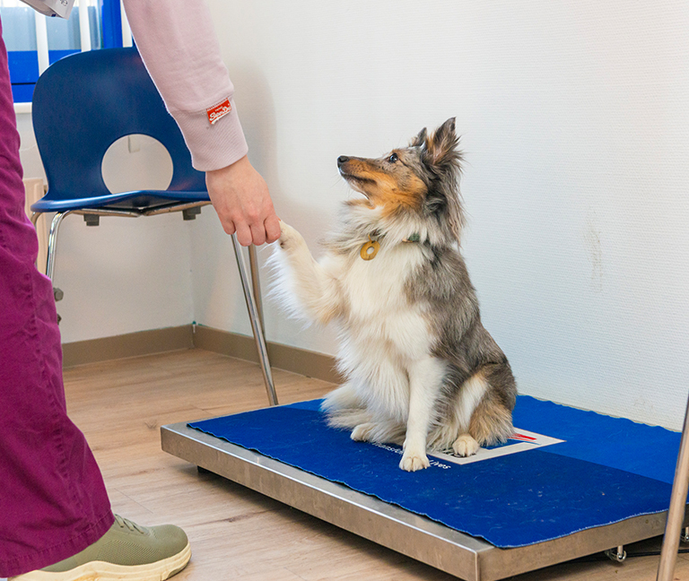 Éducateurs et ressources