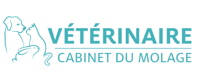 Logo Molage Veterinaire